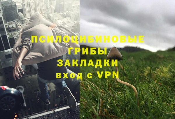 альфа пвп Володарск