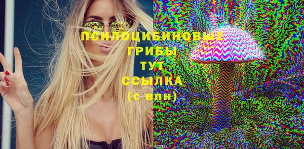 СК Волоколамск
