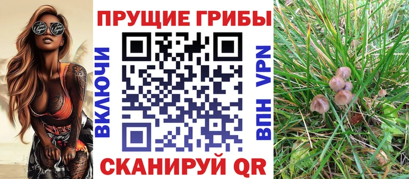Галлюциногенные грибы мицелий  сколько стоит  Горячеводский 